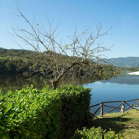 Del 3* Cavriglia